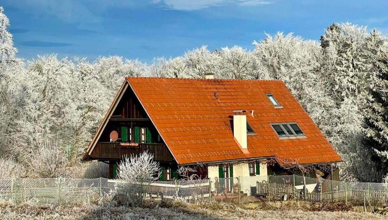 Ferienhaus Neubauer Spielfeld Buitenkant foto