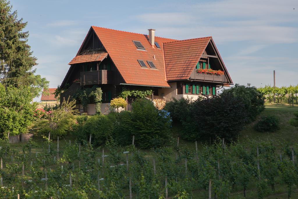 Ferienhaus Neubauer Spielfeld Buitenkant foto